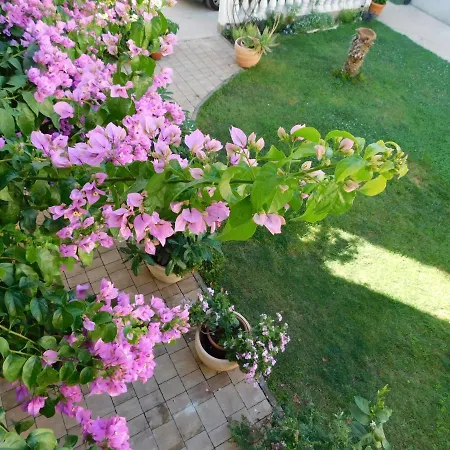 Grubelic - Garden & Grill Apartment *