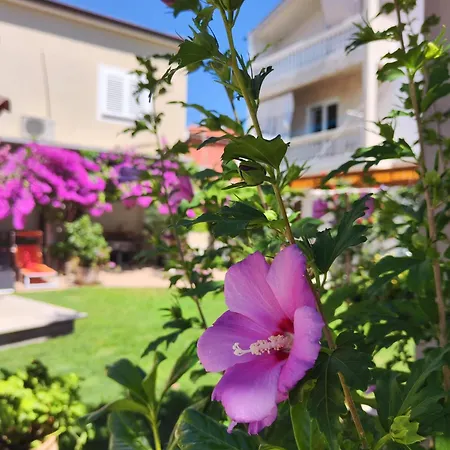 Grubelic - Komforan Novi Tribalj