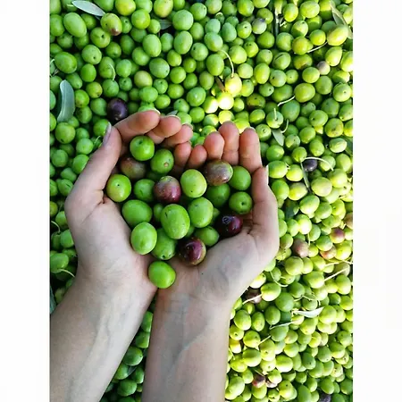 Διαμέρισμα Grubelic - Komforan Novi Tribalj