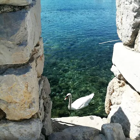 Appartamento Grubelic - Komforan Novi *