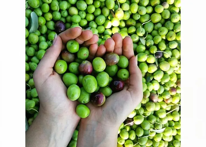 Apartamento Grubelic - Komforan Novi Tribalj