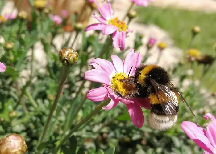 Apartamento Grubelic - Komforan Novi