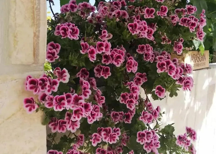 Grubelic - Komforan Novi Tribalj