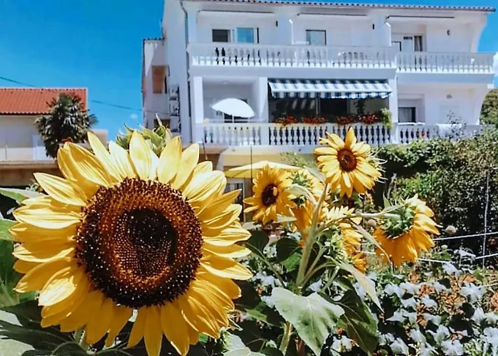 Apartamento Grubelic - Komforan Novi