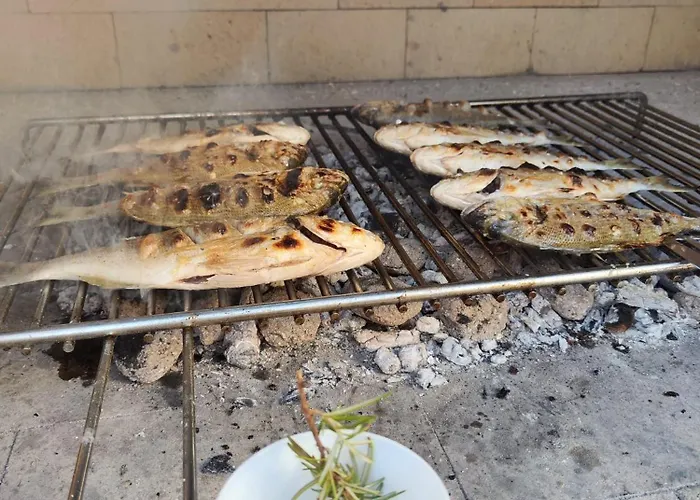 Grubelic - Komforan Novi