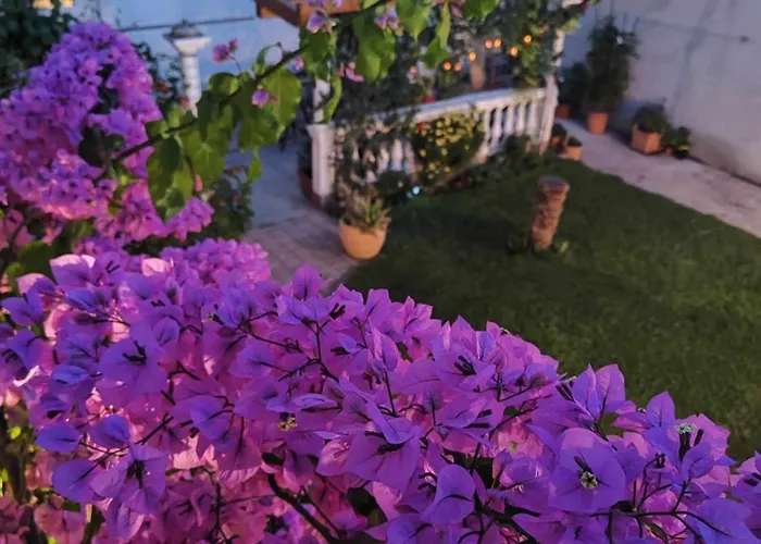 Apartamento Grubelic - Komforan Novi